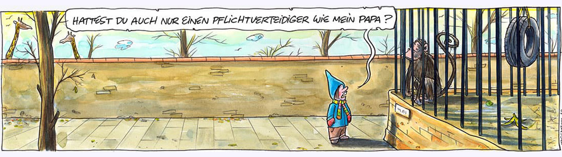 kein-pflichtverteidiger